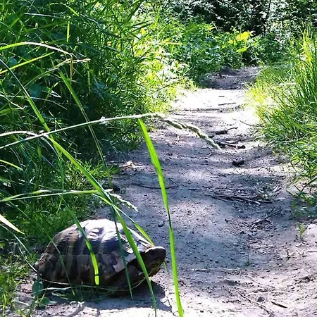 Appartement Kuljanin Donji Milanovac